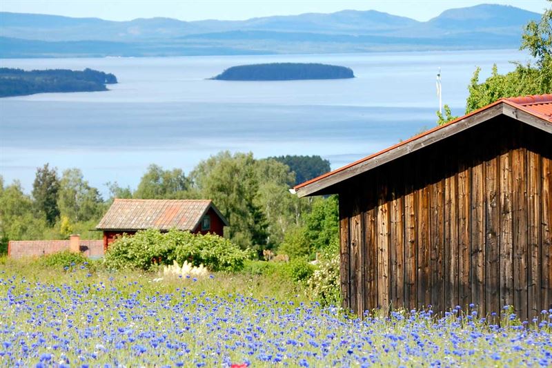 Tällberg - Äventyrsservice